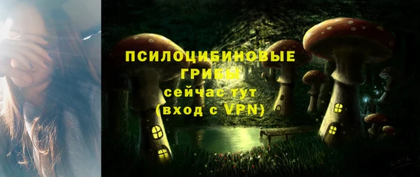 гидра Бронницы