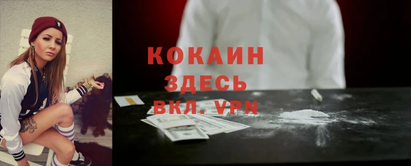гидра Бронницы