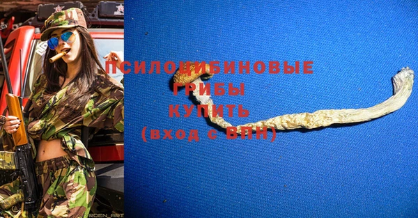 МДПВ Бугульма