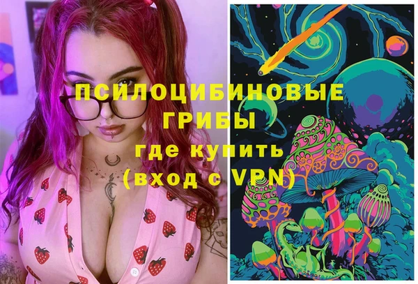 МДПВ Бугульма
