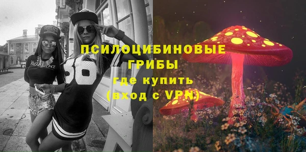МДПВ Бугульма