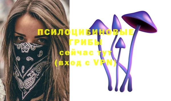 МДПВ Бугульма