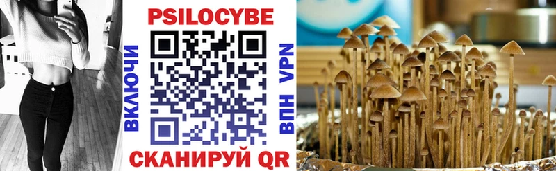 дарнет шоп  Плавск  Галлюциногенные грибы ЛСД 